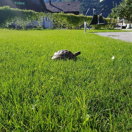 Appartement-Ennemoser Mellau Exteriér fotografie