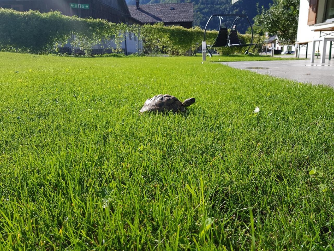 Appartement-Ennemoser Mellau Exteriér fotografie